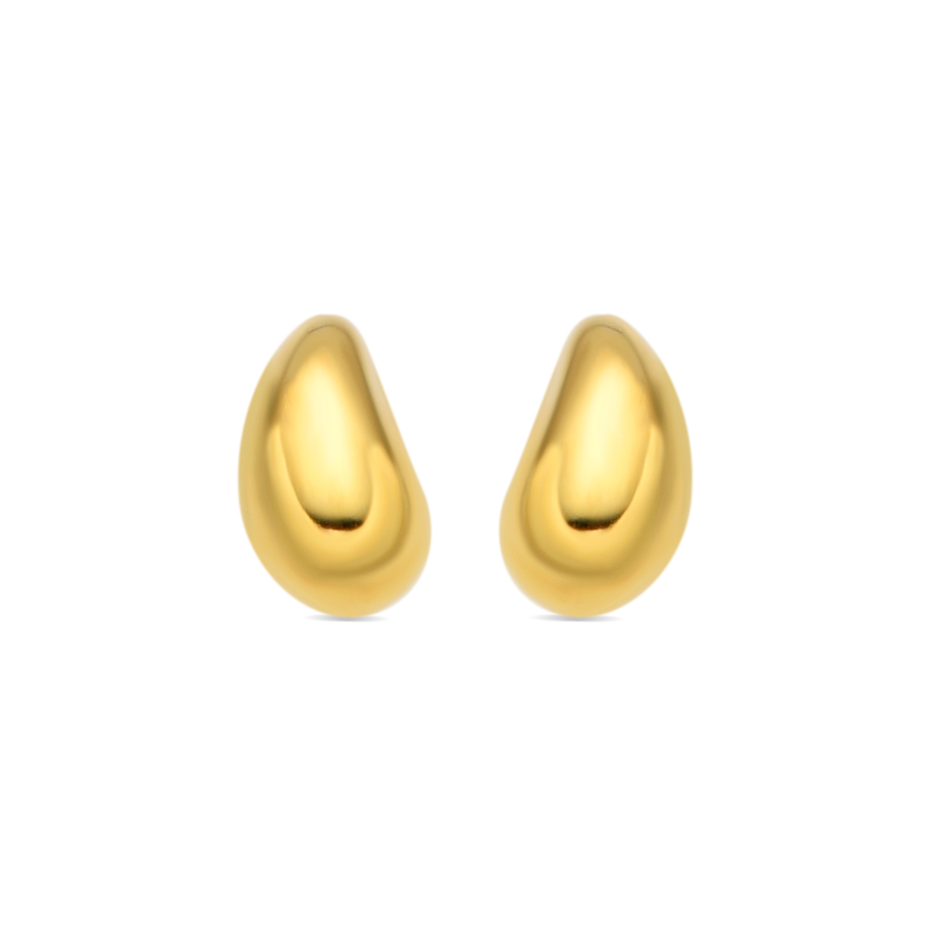 Orecchini in argento sterling 925 con finitura in oro giallo 18k - Nokie
