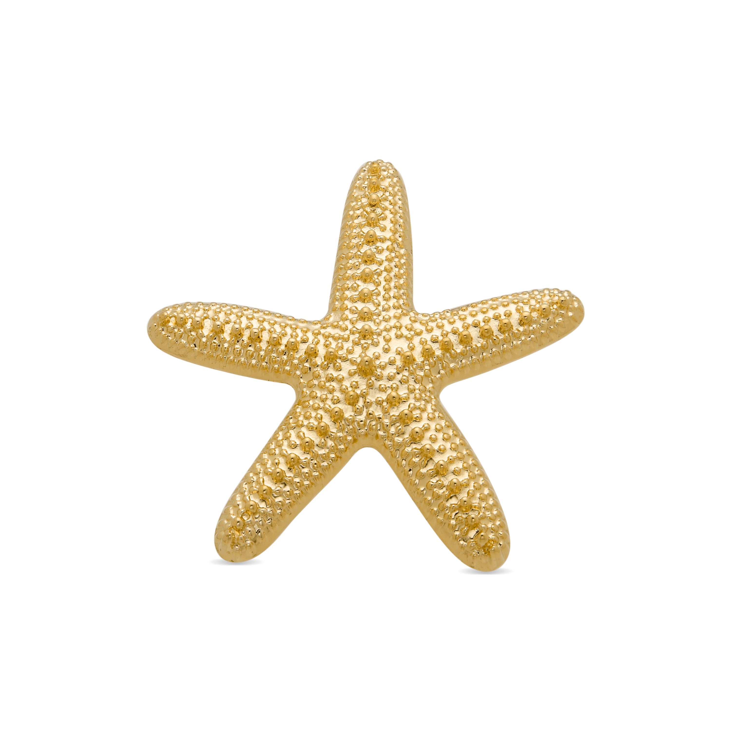 Spilla finita in oro giallo 18K - Star