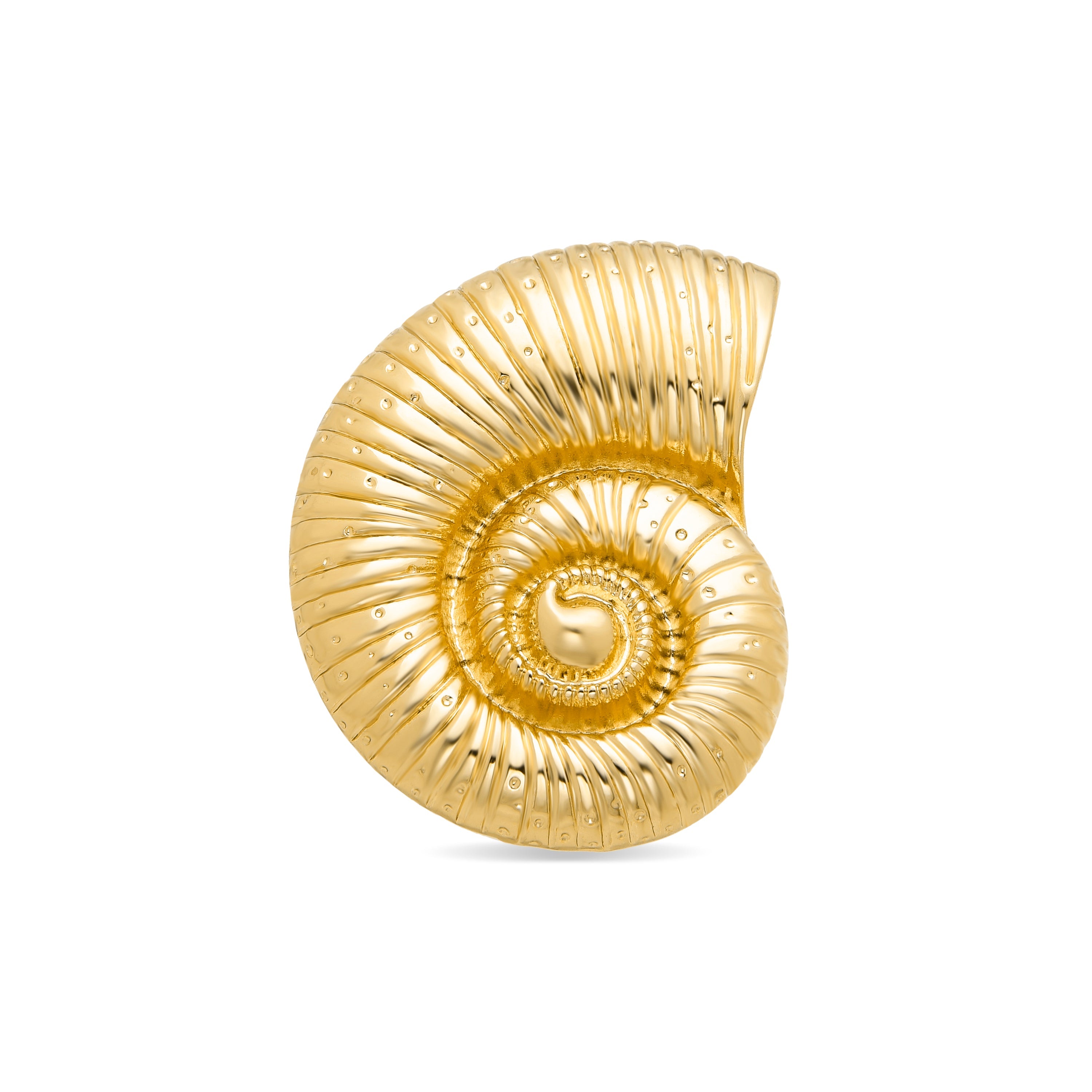 Spilla finita in oro giallo 18K - Conchiglia