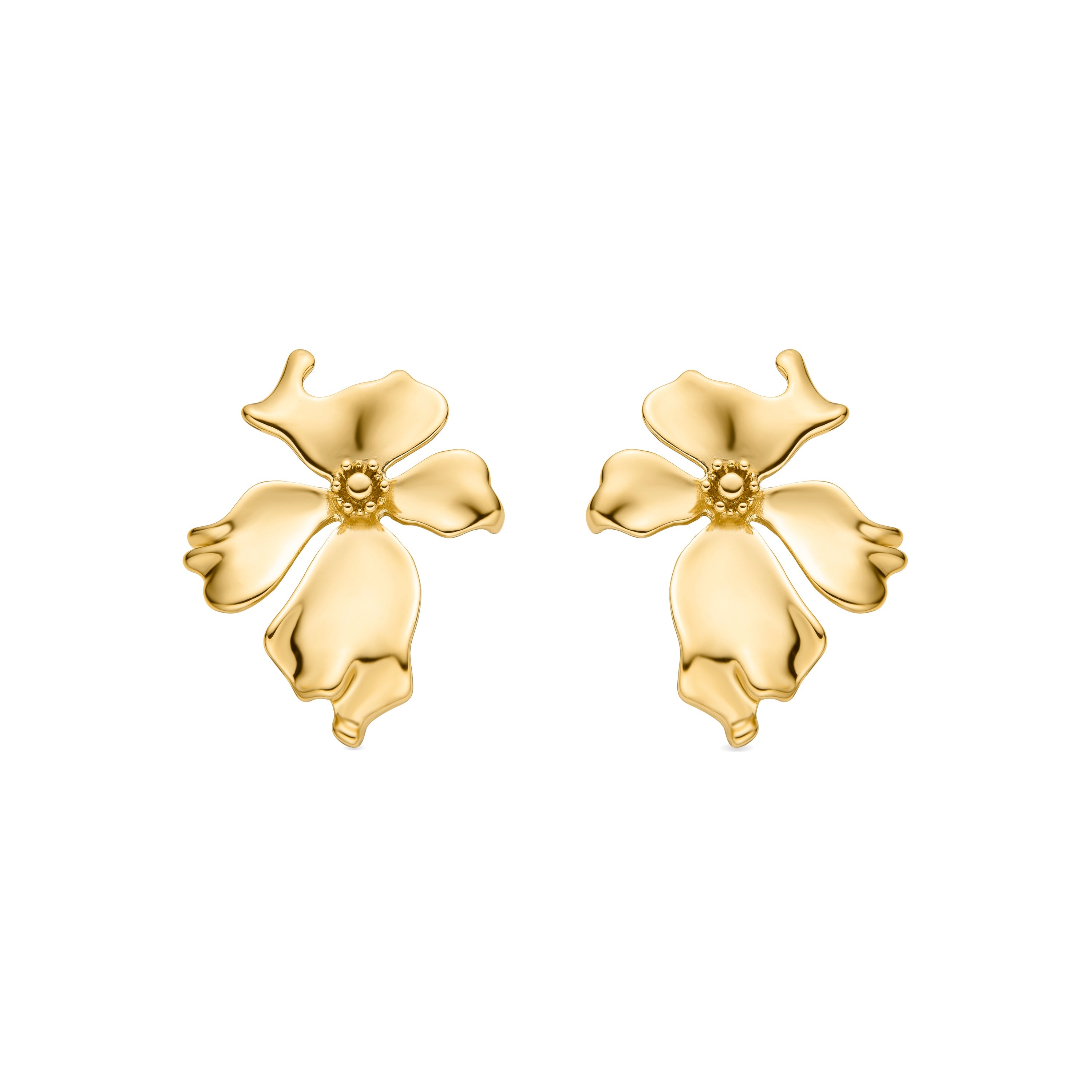 Orecchini finiti in oro giallo 18K - Haiqua