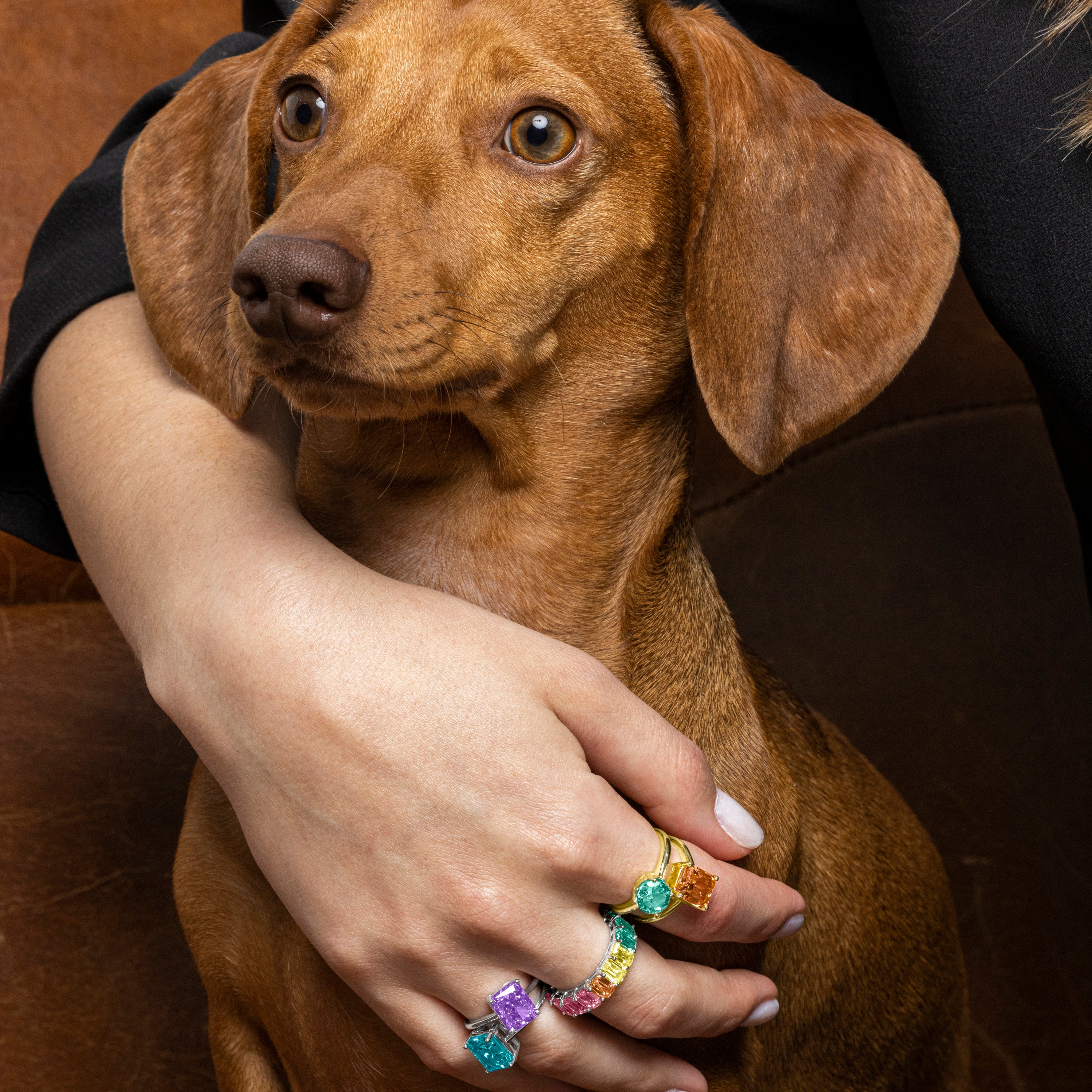 Anillo de Plata de Ley 925 y Circonita Multicolor acabado en rodio - Syruo